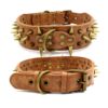 Spike Rivet Dog Collar