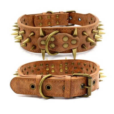 Spike Rivet Dog Collar