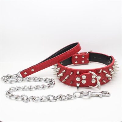 Anti-Bite Rivet Dog Collar Rope