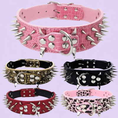 Anti-Bite Rivet Dog Collar Rope