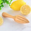 Manual Beech Lemon Juicer