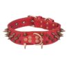 Spike Rivet Dog Collar